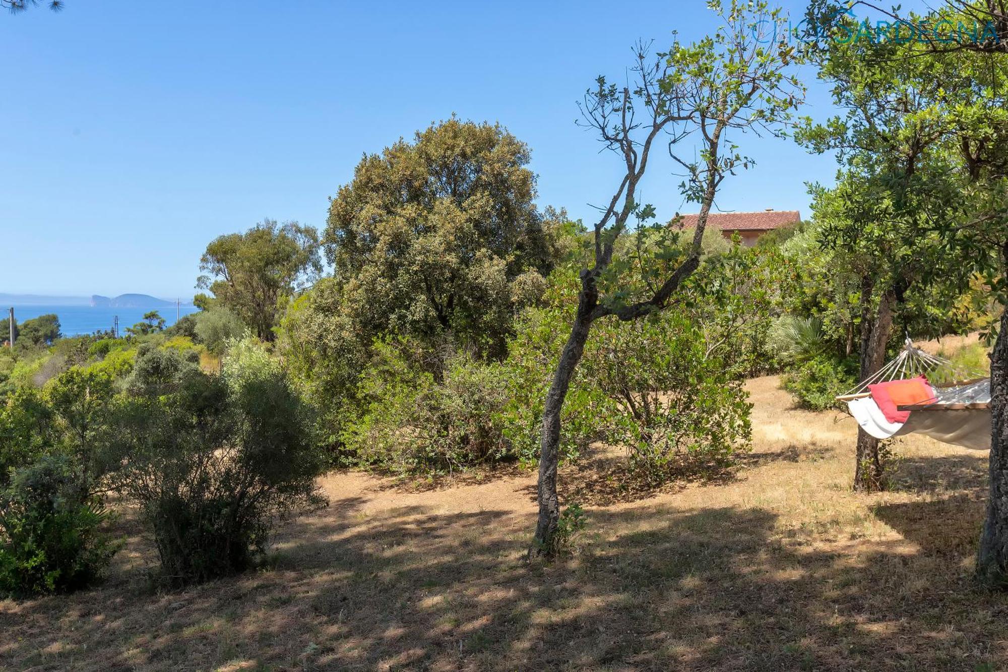 Alghero Villa Barranch With Sea View Swimming Pool For 6 People Ngoại thất bức ảnh