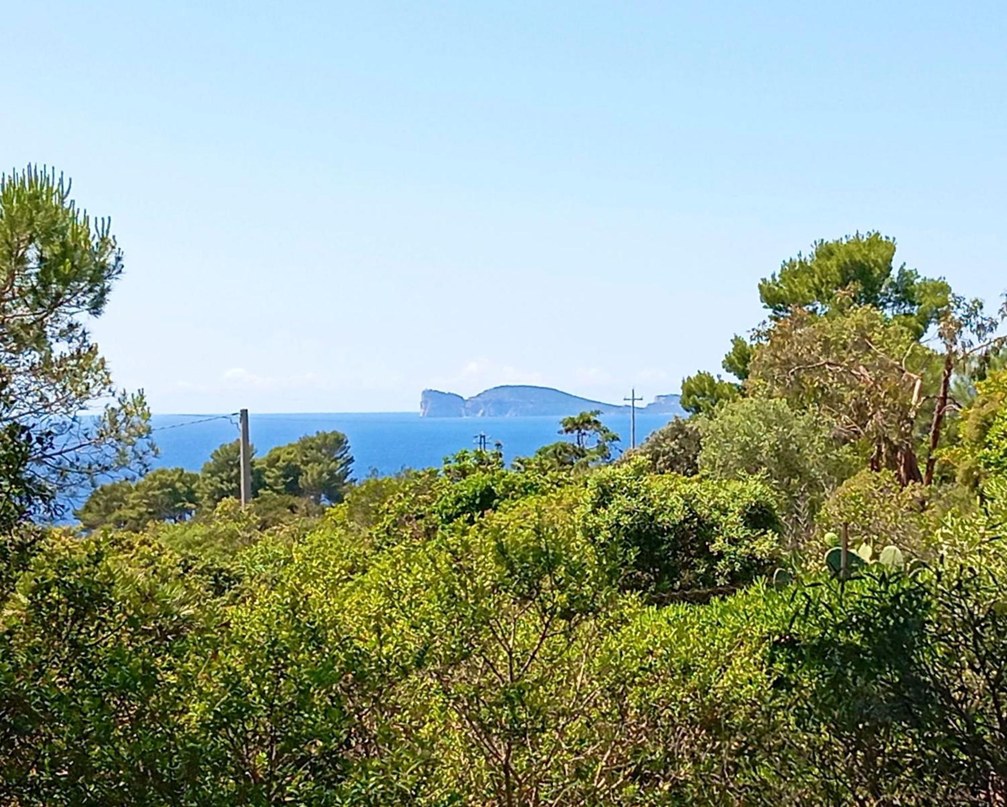 Alghero Villa Barranch With Sea View Swimming Pool For 6 People Ngoại thất bức ảnh